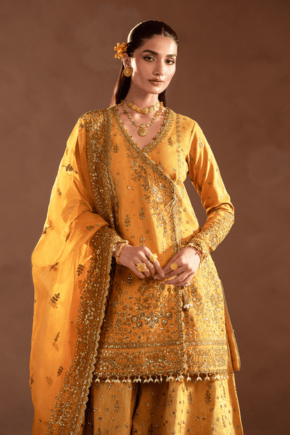 Emaan Adeel | Selene Formals | VELORIA