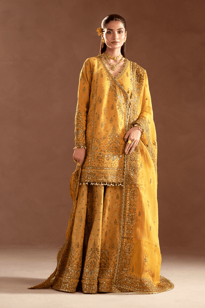 Emaan Adeel | Selene Formals | VELORIA