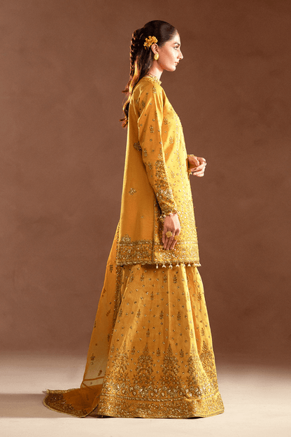 Emaan Adeel | Selene Formals | VELORIA