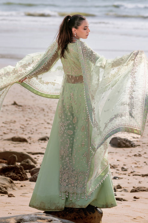 Emaan Adeel | Kamari Reveuse Wedding Formals | NOIR - House Of Anaya