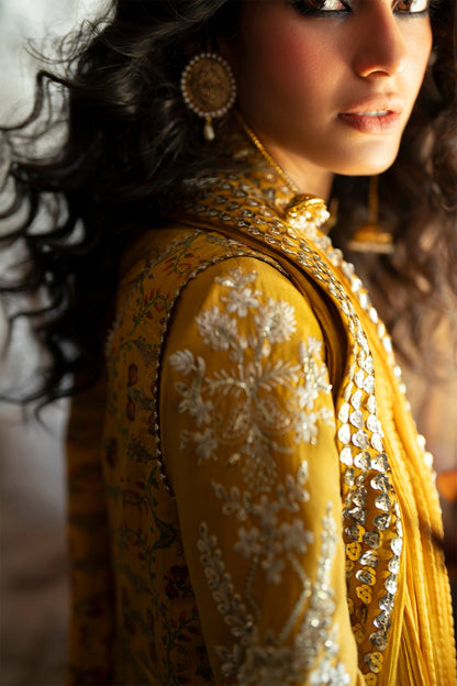 Saad Bin Shahzad | Silk25 | AMINA