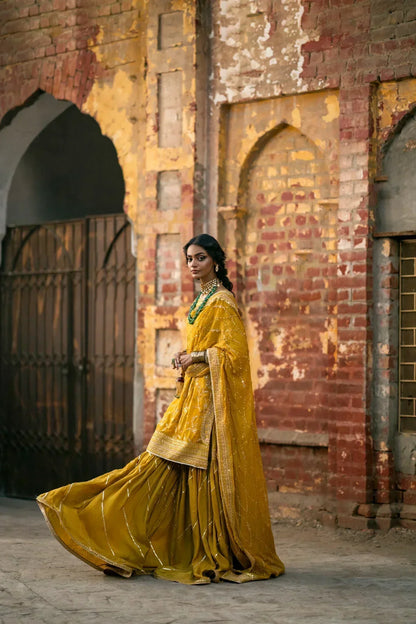 Erum Khan | Mannat Formals | Aatish - House Of Anaya