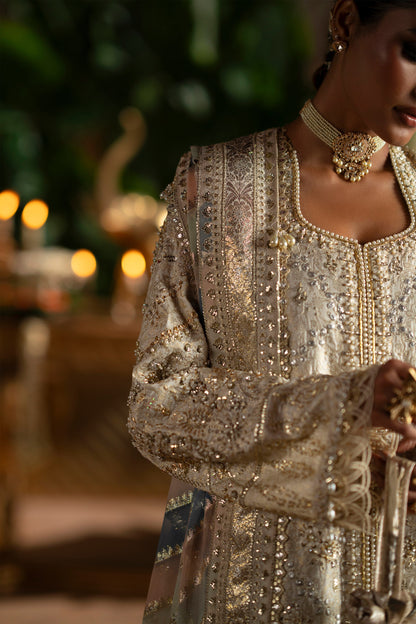 Saad Bin Shahzad | Laavni'25 | SOPHIA