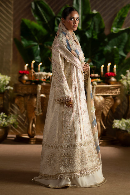 Saad Bin Shahzad | Laavni'25 | SOPHIA