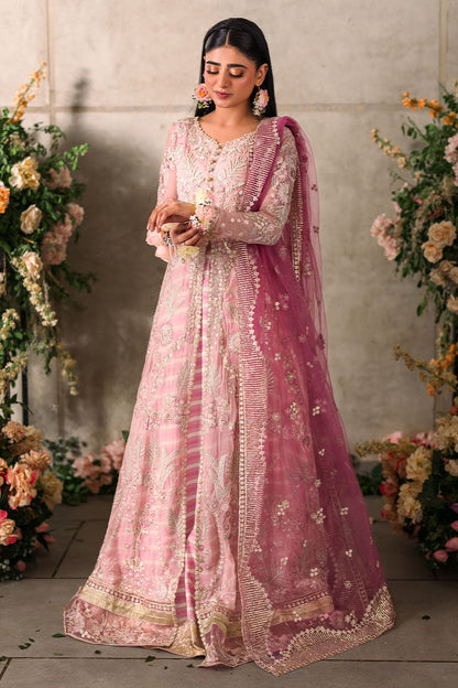 Mushq | Mastani Evening Luxury Chiffon | Maisha - House Of Anaya