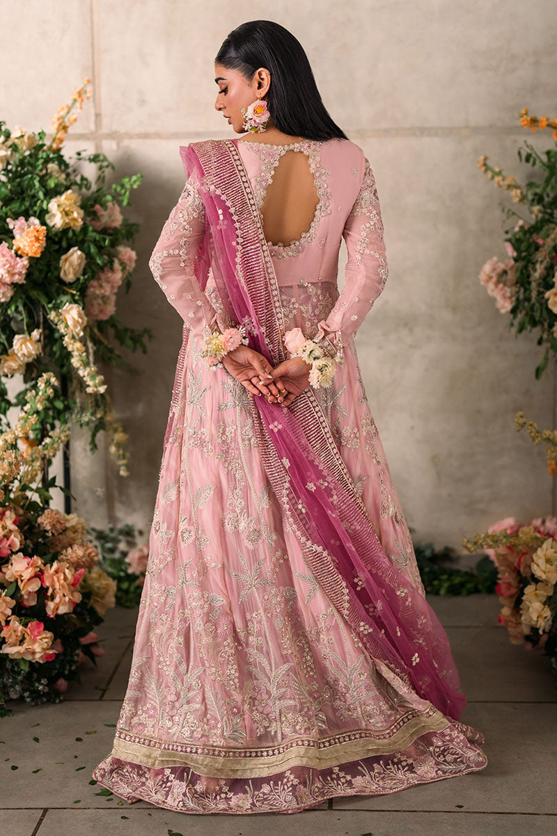 Mushq | Mastani Evening Luxury Chiffon | Maisha - House Of Anaya