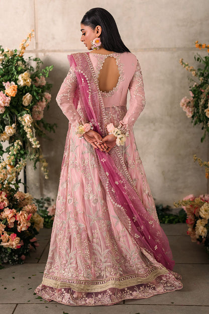 Mushq | Mastani Evening Luxury Chiffon | Maisha - House Of Anaya
