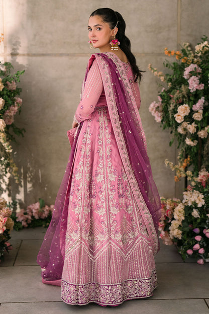Mushq | Mastani Evening Luxury Chiffon | Dua - House Of Anaya
