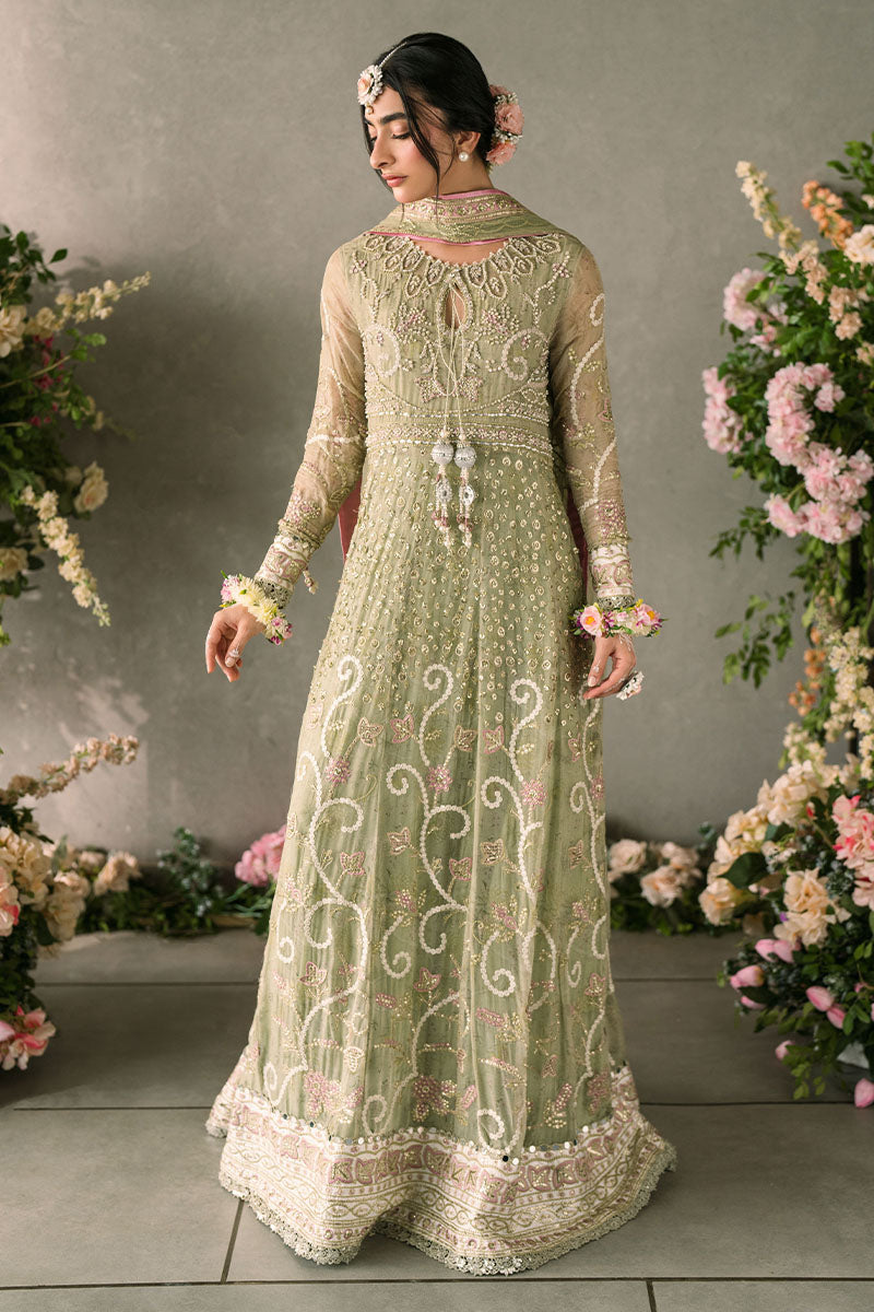 Mushq | Mastani Evening Luxury Chiffon | Namar - House Of Anaya