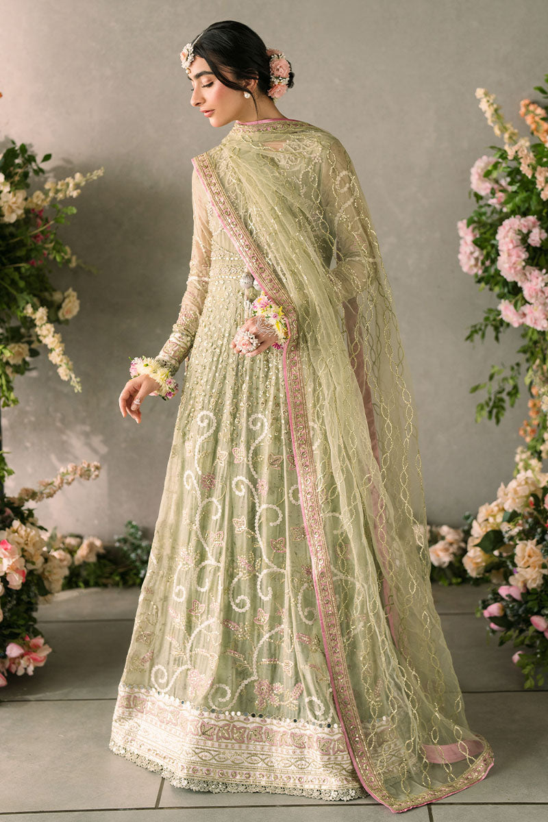 Mushq | Mastani Evening Luxury Chiffon | Namar - House Of Anaya