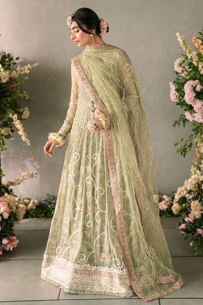 Mushq | Mastani Evening Luxury Chiffon | Namar - House Of Anaya