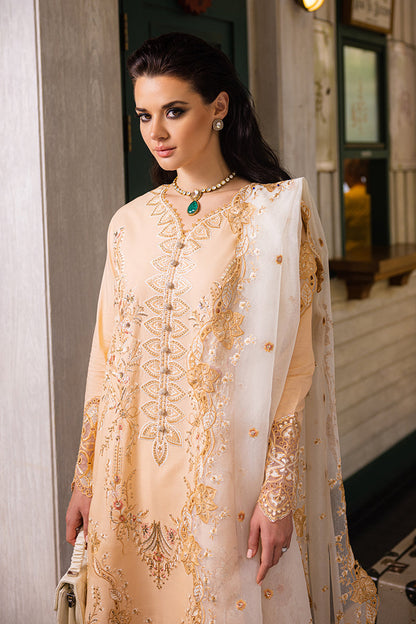 Mushq | Orient Express Luxury Lawn | ODYSSEY - House Of Anaya