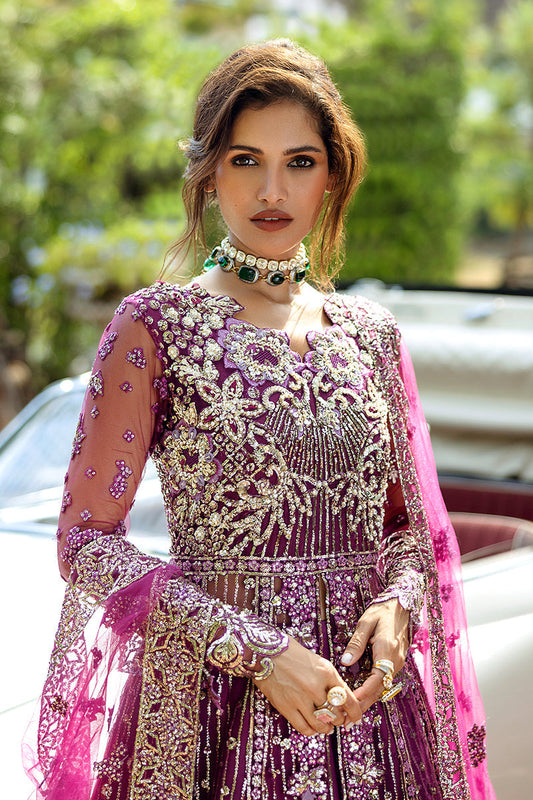 Starstruck Elegance| Mushq'24