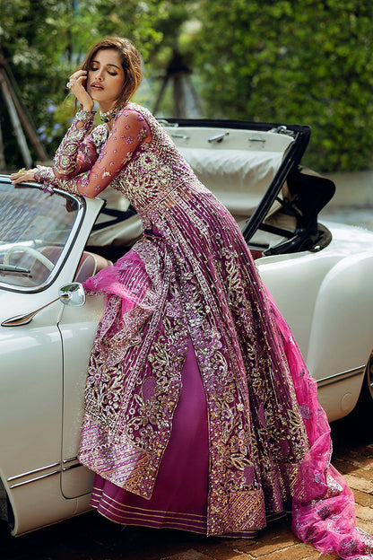 Starstruck Elegance| Mushq'24