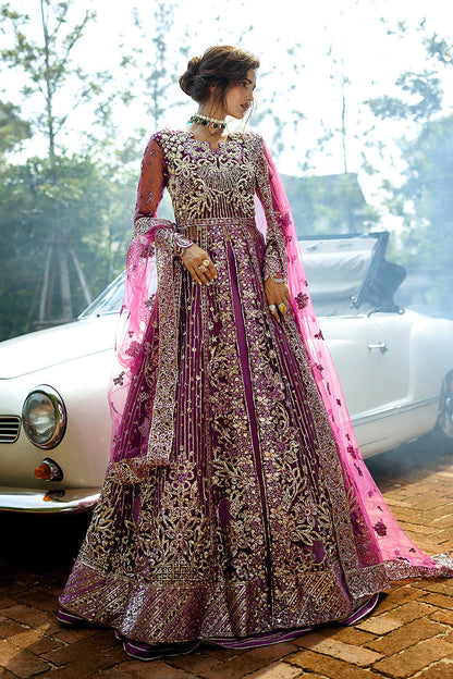 Starstruck Elegance| Mushq'24