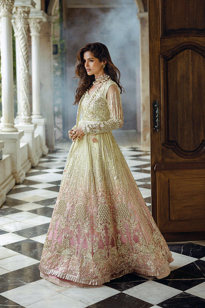 Cosmic Couture| Mushq'24