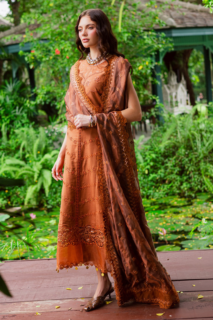Marjjan | Bella Karandi 25 | MWK-37 A (RUST)