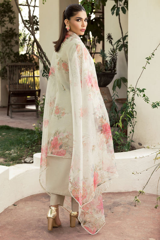 Motifz | Summer Lawn 24 | 4706
