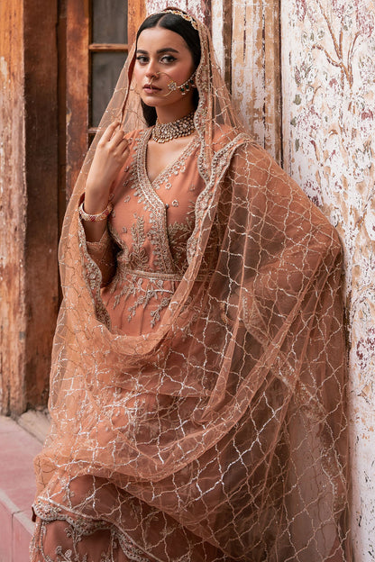 Motifz | EMBROIDERED SILK NET | 4820-MANHA