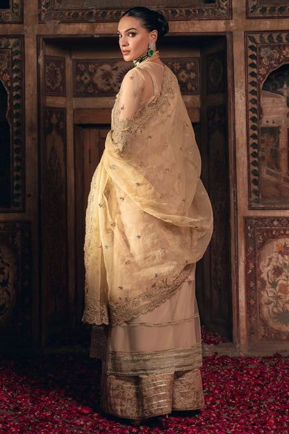 Motifz | EMBROIDERED SILK NET | 4821-SHERBANO