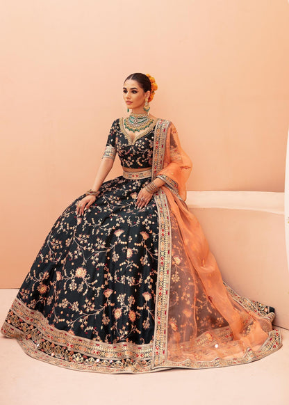 Waqas Shah | Madhubala | SHAH BANO - House Of Anaya