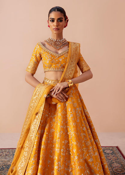 Waqas Shah | Madhubala | ZARI - House Of Anaya