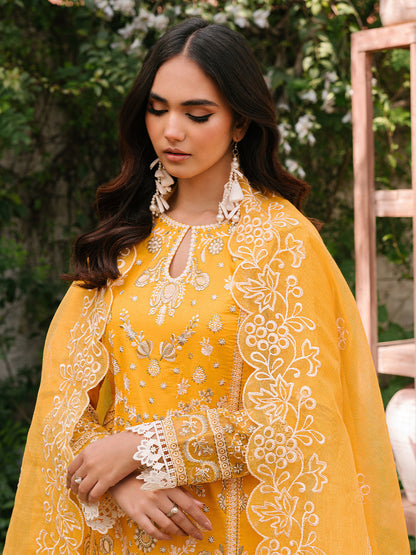 Mahnur | Masakali Luxury Lawn 24 | MK 06 - A - House Of Anaya