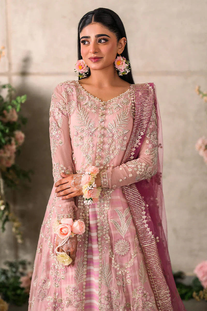 Mushq Mastani Evening Embroidered Chiffon 3Pc Suit MCH-03 MAISHA