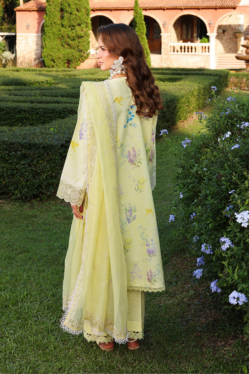 Rangrasiya | Florence Summer Edit 26 | Misha