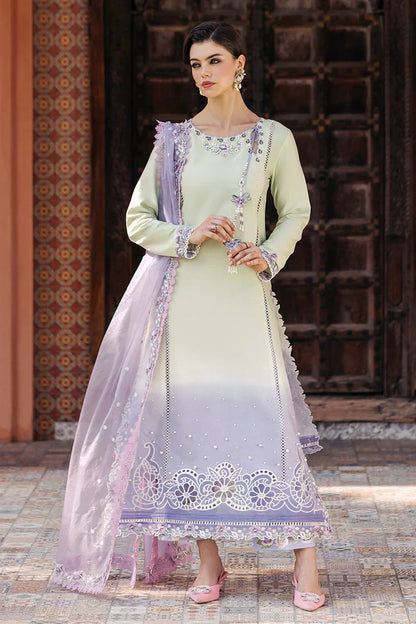 Mushq | Tehreem Luxury Pret 24 | STARRY SERENADE - House Of Anaya