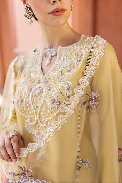 Mushq | Tehreem Luxury Pret 24 | GOLDEN GLIMMER - House Of Anaya