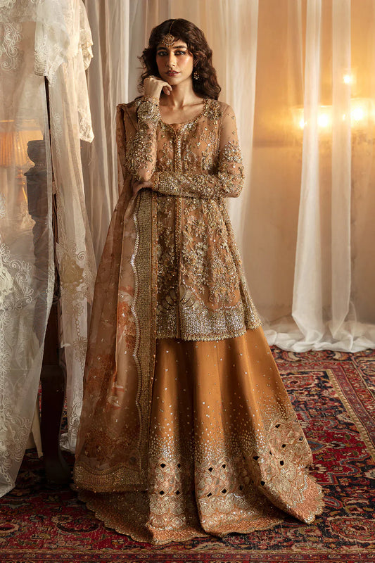 Hayat by Afrozeh Embroidered Net 3Pc Suit AFH-24-06 NOORAY