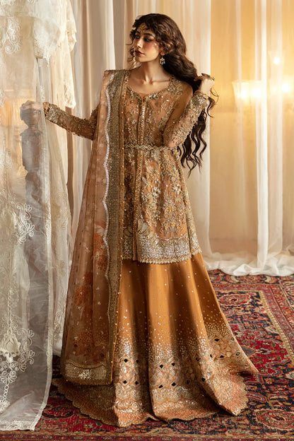 Hayat by Afrozeh Embroidered Net 3Pc Suit AFH-24-06 NOORAY