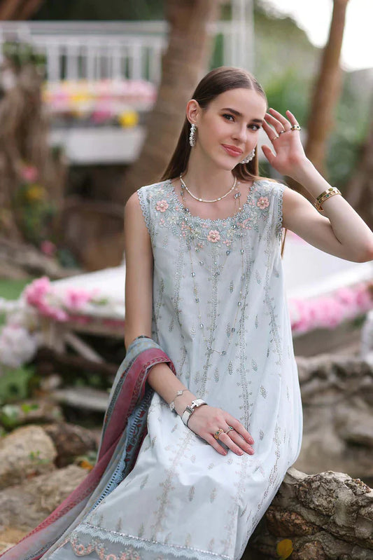 Noor by Saadia Asad | Luxe Printkari 24 | D3-B - House Of Anaya