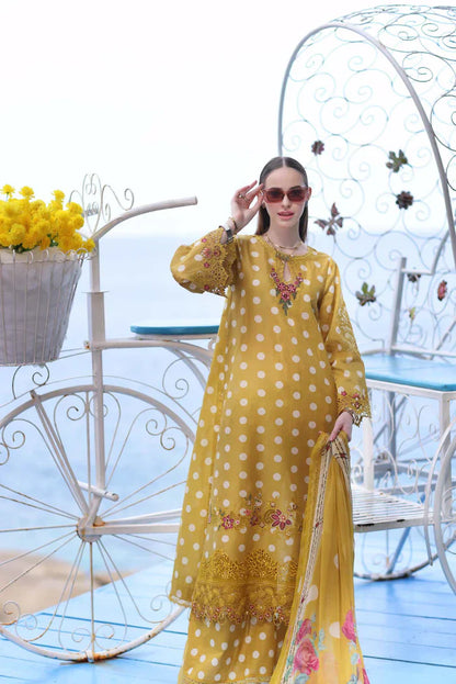 Noor by Saadia Asad | Luxe Printkari 24 | D6-B - House Of Anaya