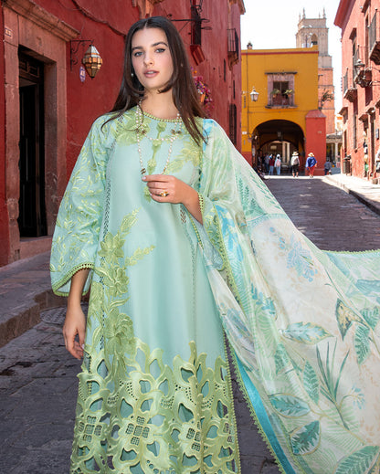 Mushq | Odyssey Lawn 26 | Paloma
