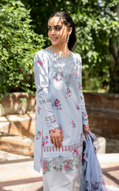 Asifa and Nabeel | Meraki Summer Vol 2 | Pankh MK-03 - House Of Anaya