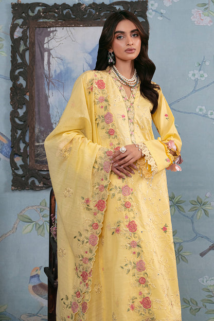 Rajbari | Chikankari Edition 24 | RJB-12 - House Of Anaya