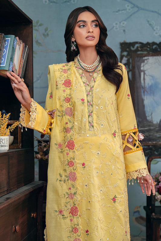 Rajbari | Chikankari Edition 24 | RJB-12 - House Of Anaya