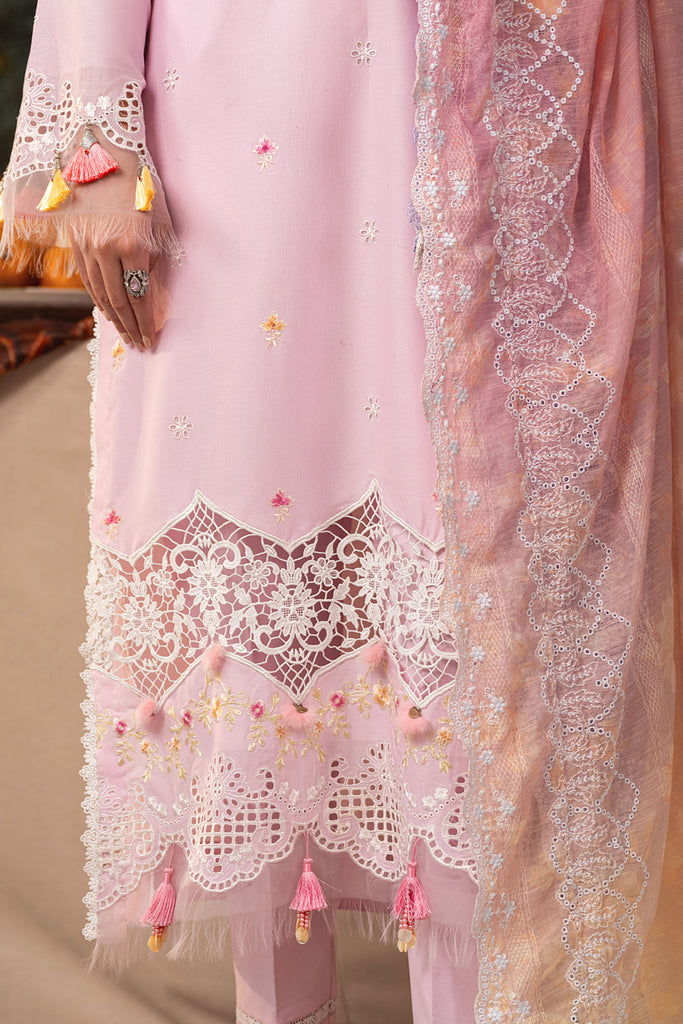 Rajbari | Chikankari Edition 24 | RJB-09 - House Of Anaya