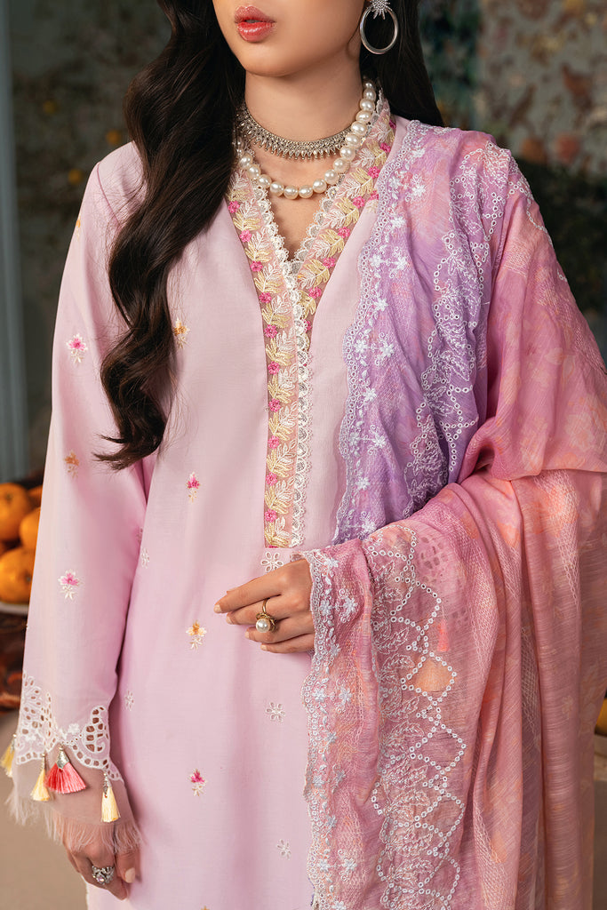 Rajbari | Chikankari Edition 24 | RJB-09 - House Of Anaya