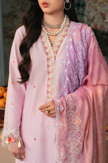 Rajbari | Chikankari Edition 24 | RJB-09 - House Of Anaya