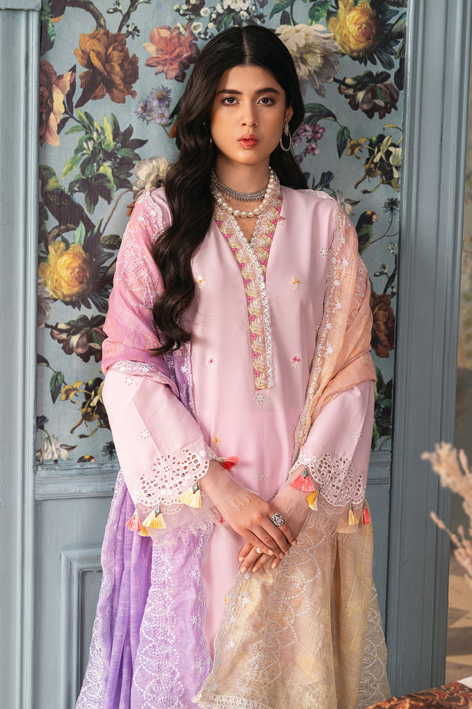 Rajbari | Chikankari Edition 24 | RJB-09 - House Of Anaya