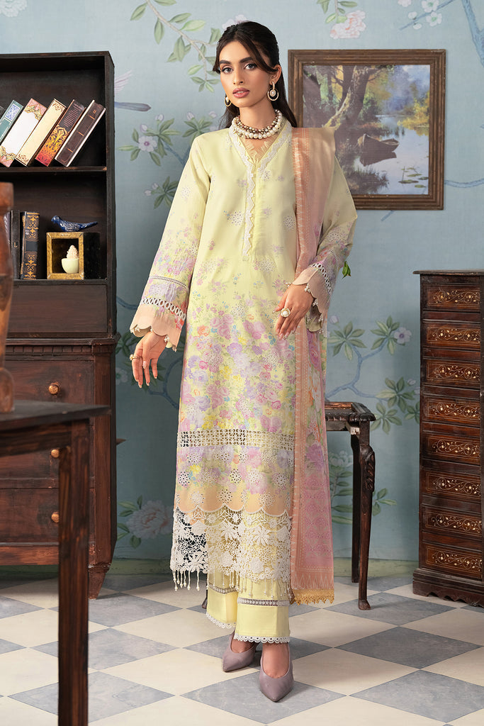 Rajbari | Chikankari Edition 24 | RJB-01 - House Of Anaya
