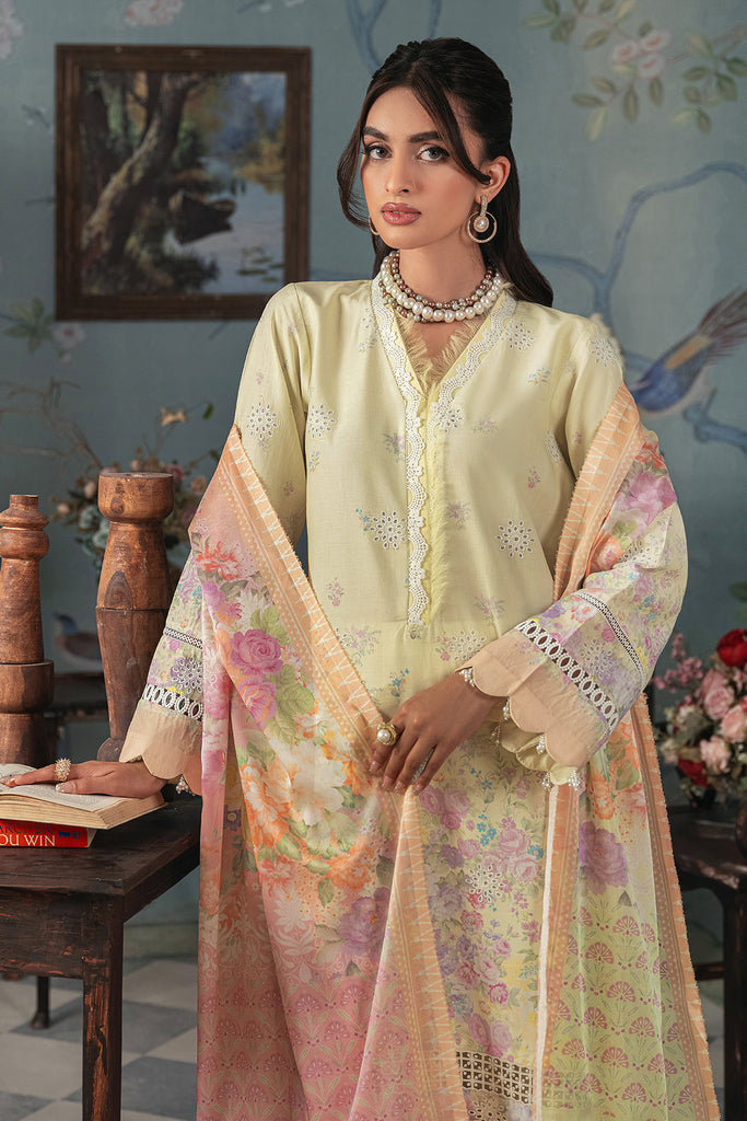 Rajbari | Chikankari Edition 24 | RJB-01 - House Of Anaya