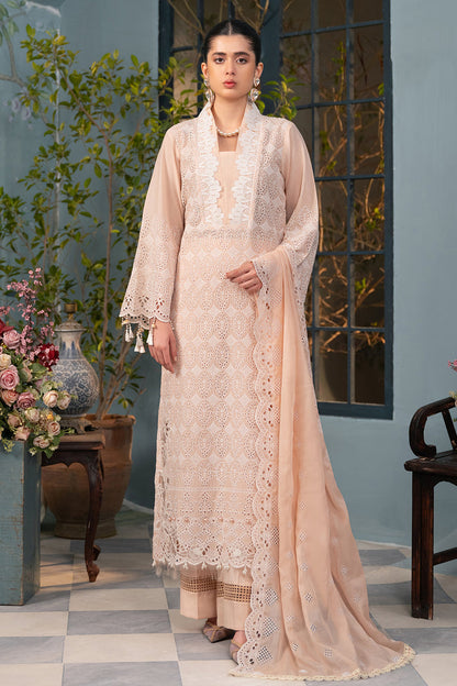 Rajbari | Chikankari Edition 24 | RJB-03 - House Of Anaya