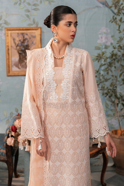 Rajbari | Chikankari Edition 24 | RJB-03 - House Of Anaya