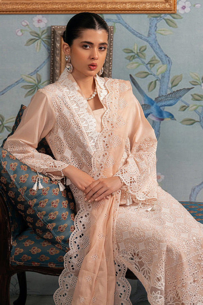 Rajbari | Chikankari Edition 24 | RJB-03 - House Of Anaya