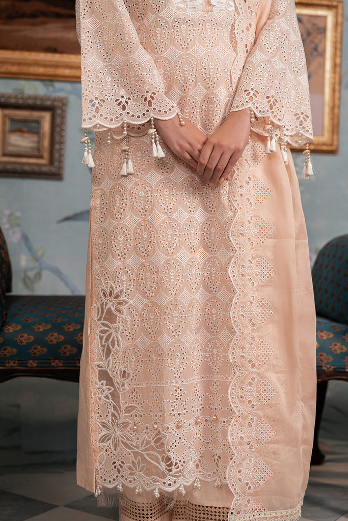 Rajbari | Chikankari Edition 24 | RJB-03 - House Of Anaya