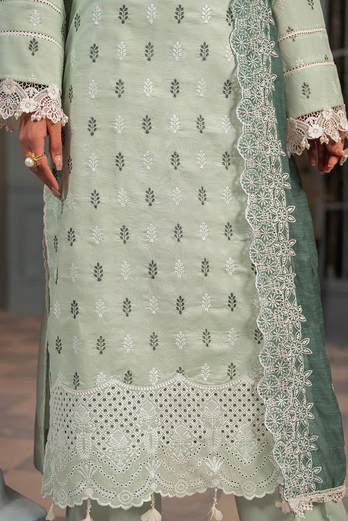 Rajbari | Chikankari Edition 24 | RJB-13 - House Of Anaya